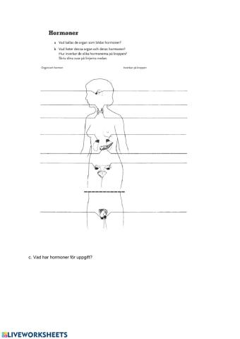 Kroppens hormoner