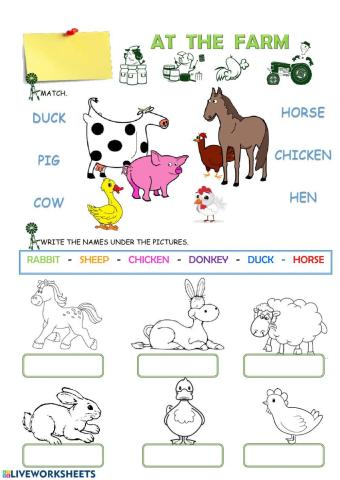 Farm animals