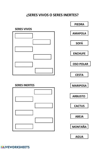 Seres vivos- seres inertes