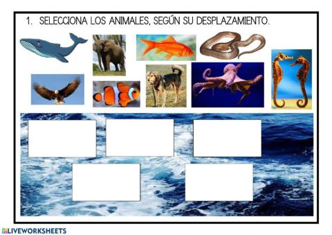 Animales desplazamiento