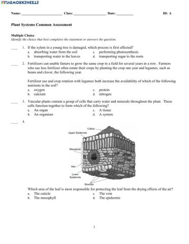 Plant Systems Test