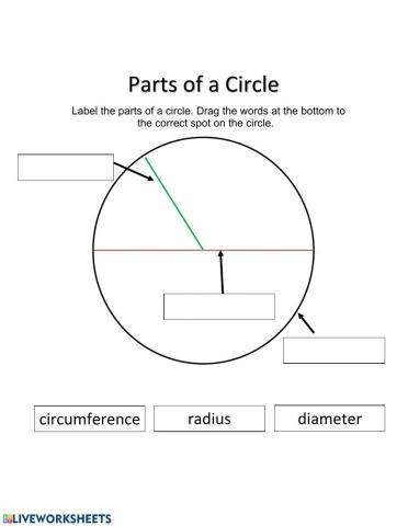 Parts of a circle