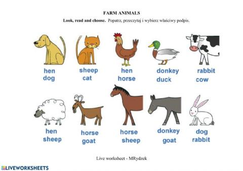 Farm animals