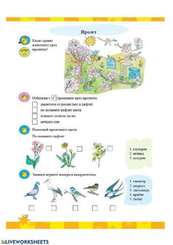 Околен свят Промени през пролетта