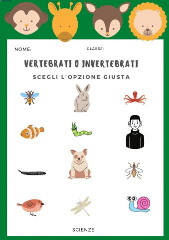 Vertebrati o invertebrati