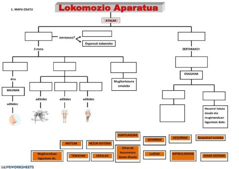 Lokomozio aparatua