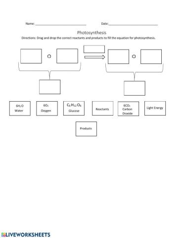 Photosynthesis equation