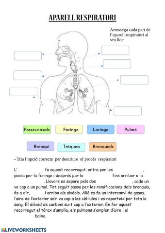 Aparell respiratori