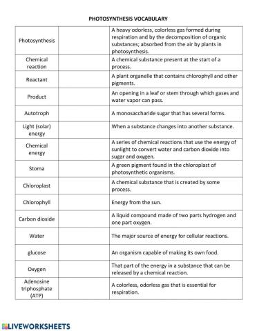 Photosynthesis Vocabulary