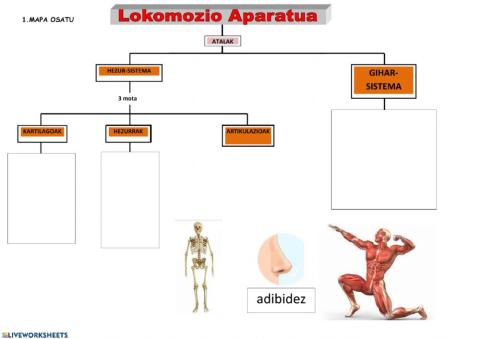 Lokomozio aparatua