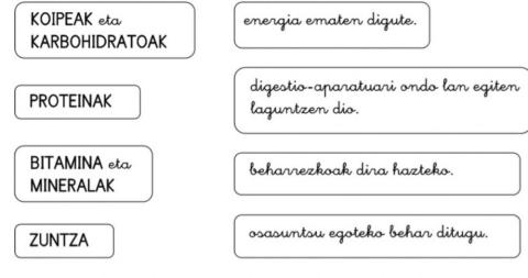 ELIKAGAIAK ETA MANTENUGAIAK 2