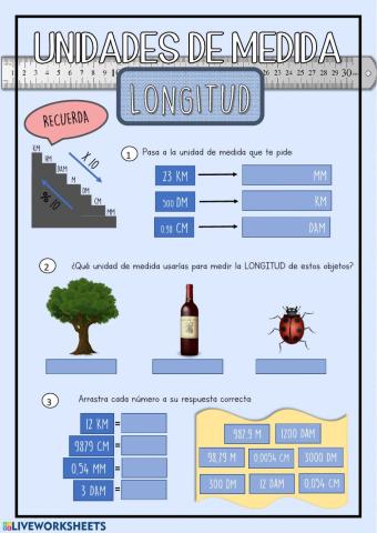 Unidades de medida: LONGITUD