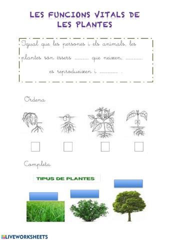 Les plantes