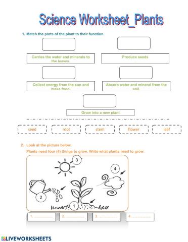 Science worksheet Thursday