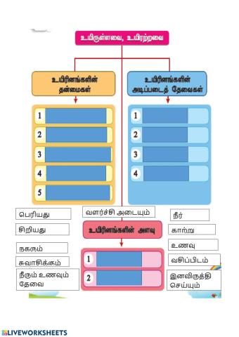 உருள்ளவை, உயிரற்றவை