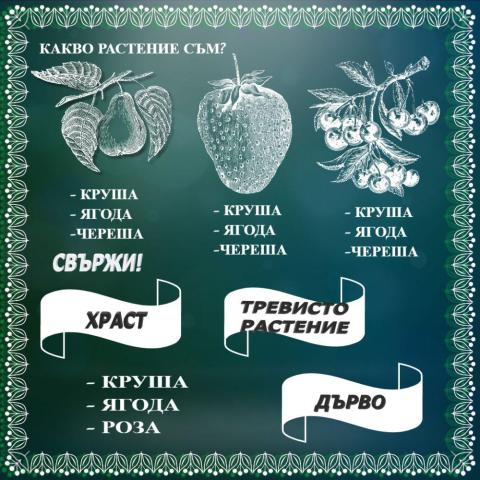 Растения - Околен свят - 1. клас