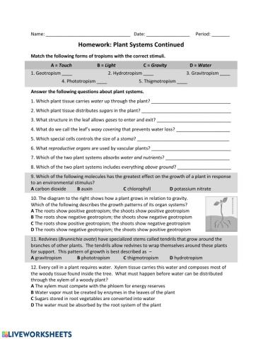 Plants: Systems Continued