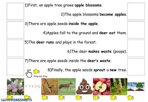 How Animals Help Plants Reproduce