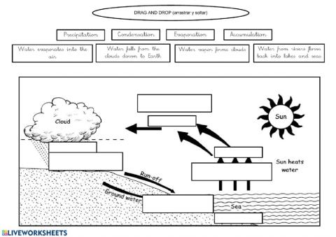 Water cycle