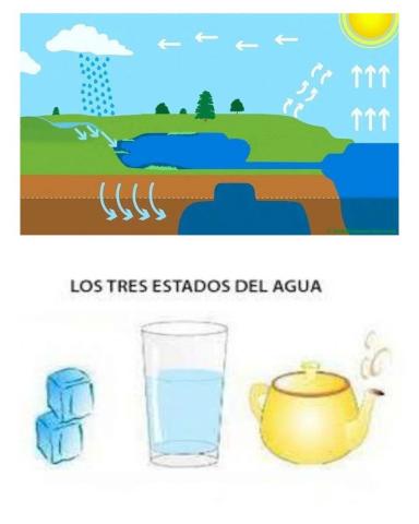 Ciclo del agua