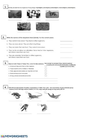 Vertebrates and invertebrates