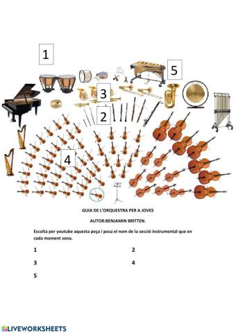 CINQUÈ:Guia d'orquestra per a joves de Britten