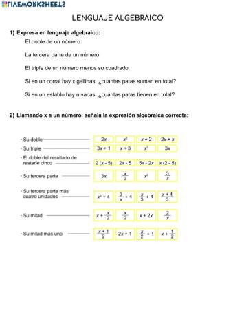 Lenguaje algebraico