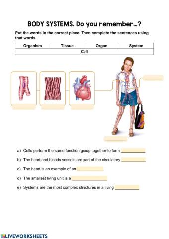 Cell organisation