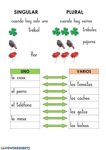 Singular y plural