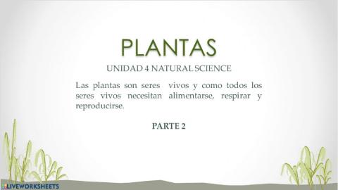 Reproducción de las plantas