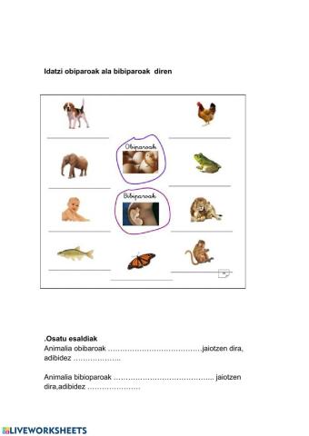 Obiparoak-bibiparoak