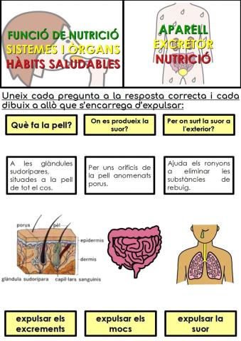 Com expulsem les substàncies de rebuig