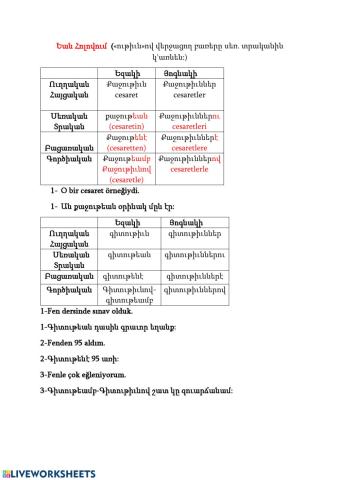 Armenian holovum