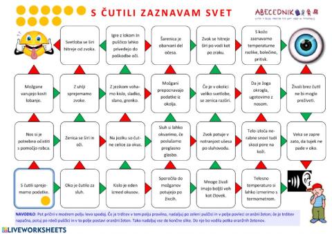 Čutila