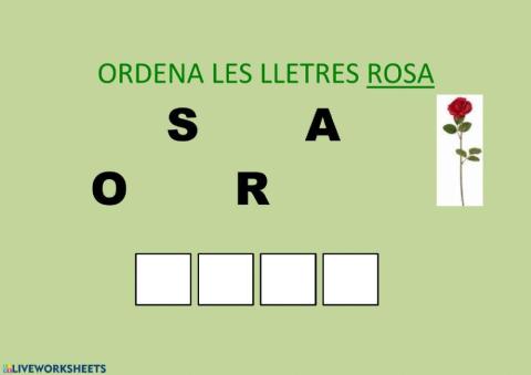 Ordena lletres ROSA