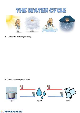 The Water Cycle