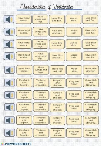 Characteristics of Vertebrates