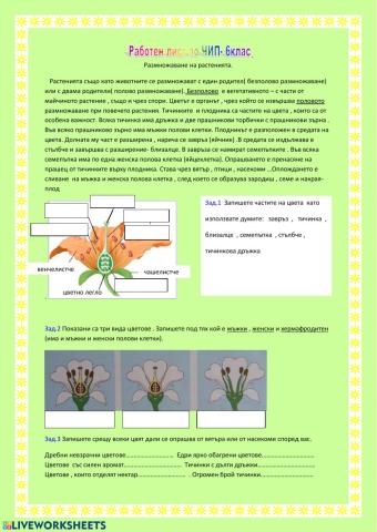 Размножаване при растенията