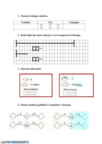 Testas N.8