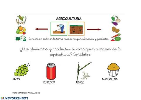 Agricultura