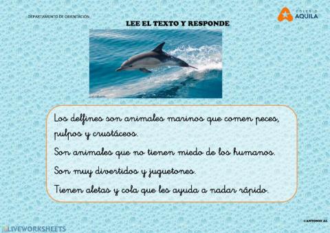 Los delfines