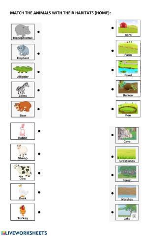 Animal habitats  and home