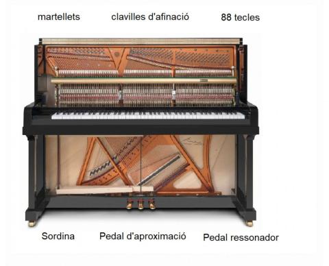 Les parts del piano vertical