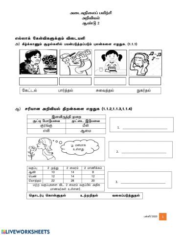 மதிப்பீட்டு பயிற்சி ஆண்டு 2 (ஆக்கம்:த.பன்னீர் செல்வம்)