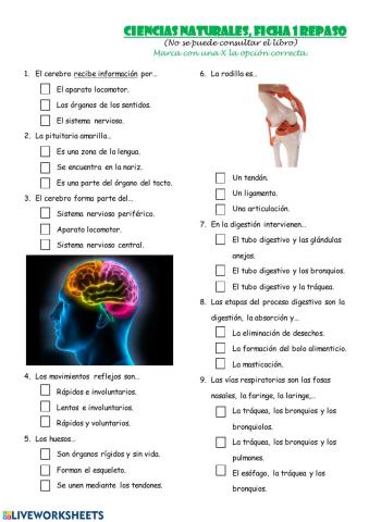 CIENCIAS NATURALES: REPASO TEMAS 1-6