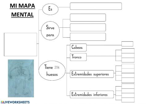 Mapa mental sobre el esqueleto