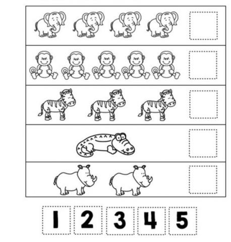 Numbers Pre-K