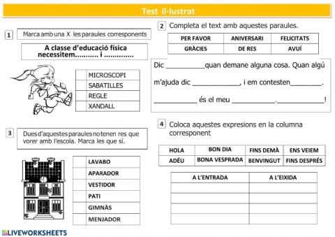 Vocabulari 3