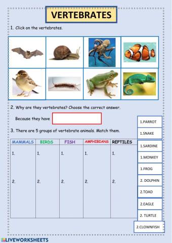 Vertebrates