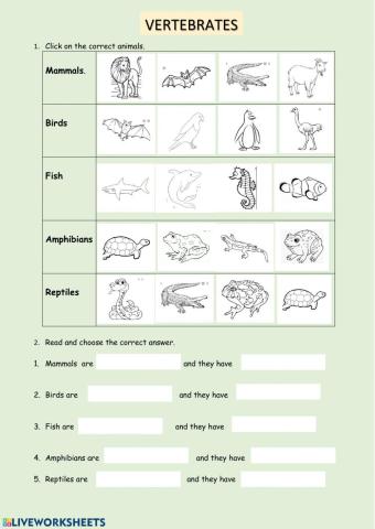 VERTEBRATES CLASSIFICATION